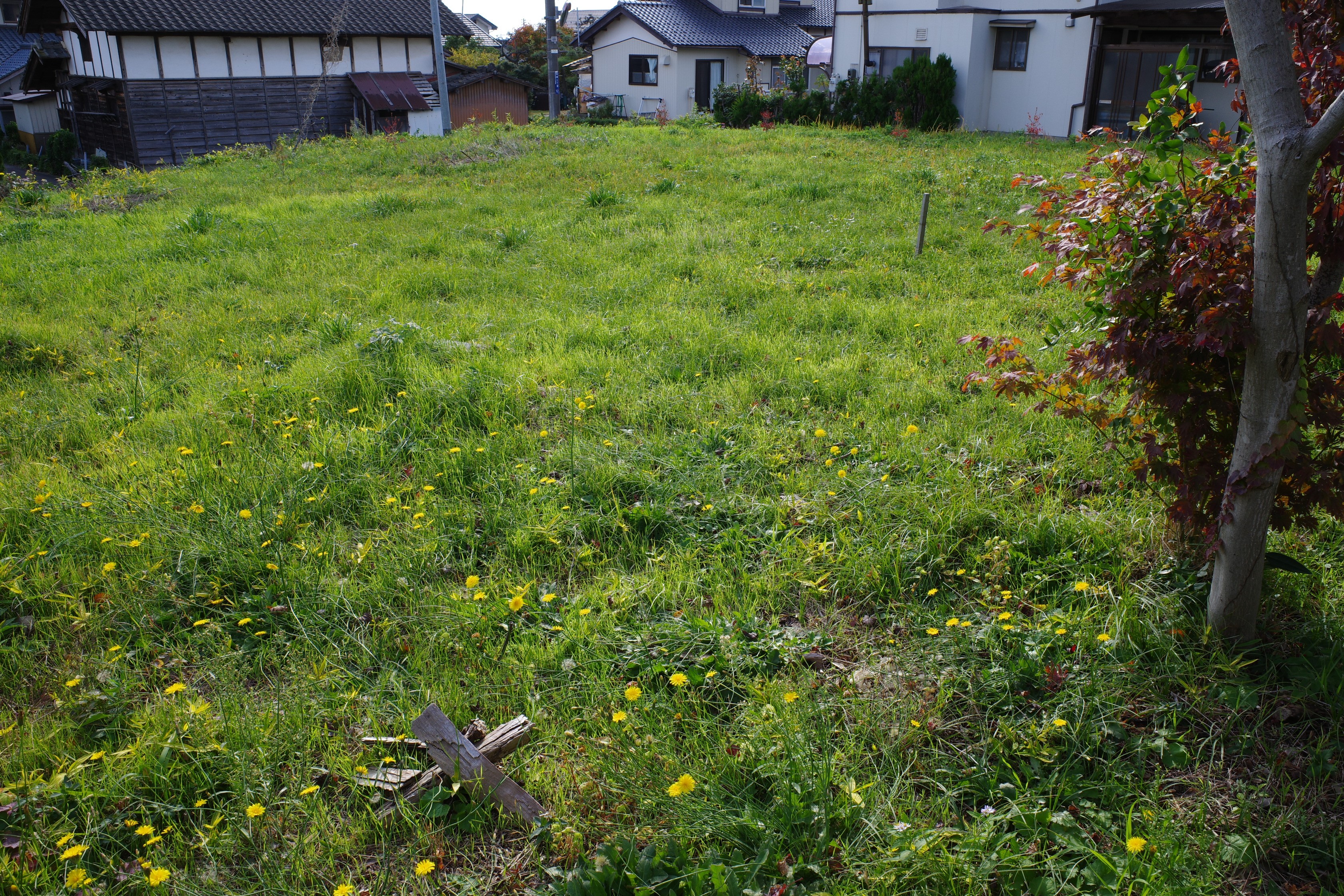 新潟市東区松崎2丁目10-9(売地)